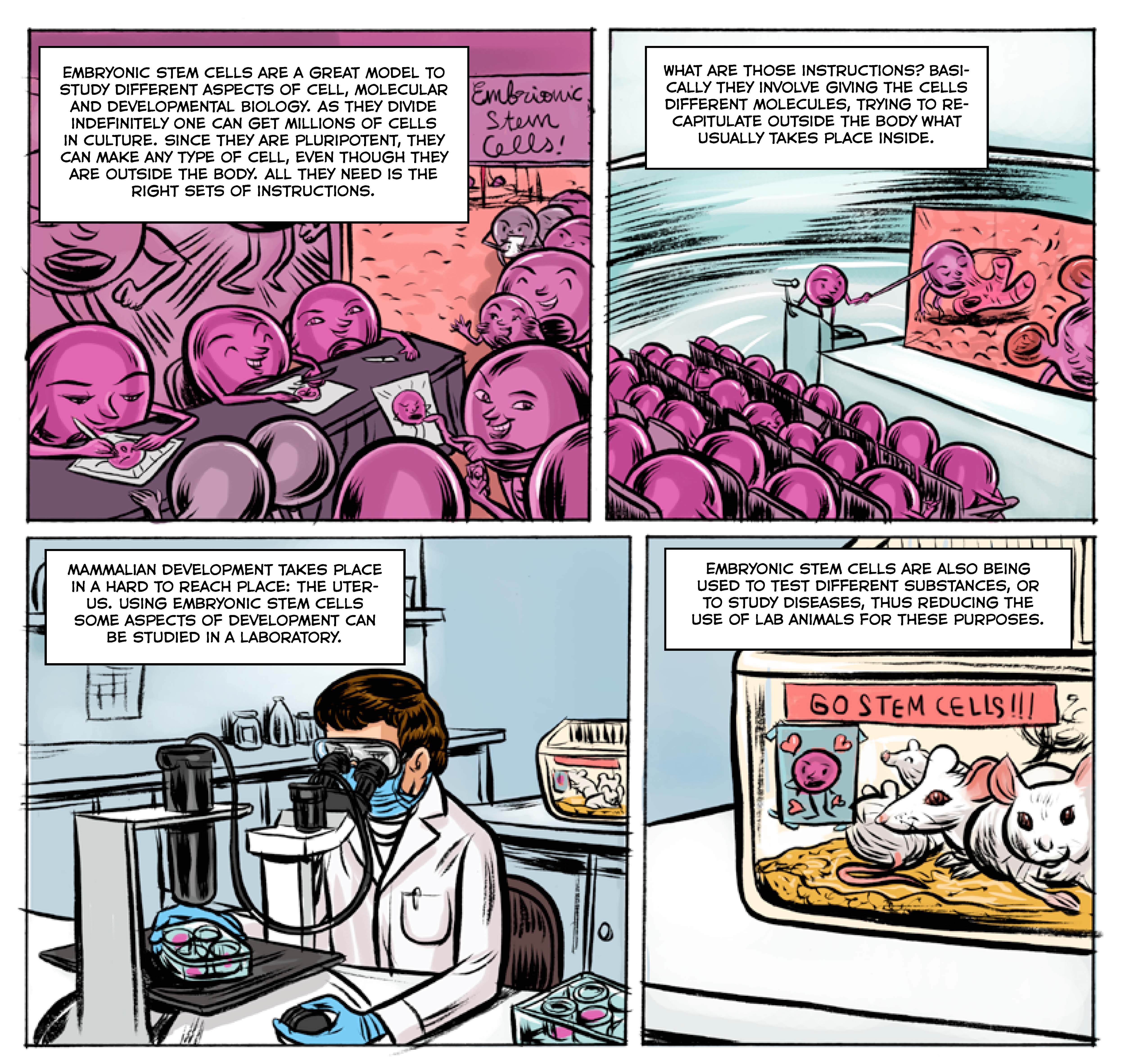 Talking about Science using Comics: A Stem Cell example - the Node