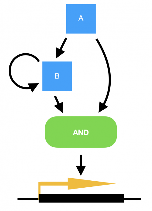 C. elegans Development, Cell Biology and Gene Expression and 2018