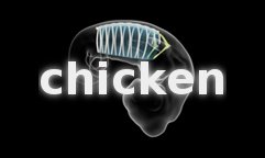 Chicken animation