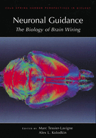 Book review: Updated interpretation of the principles of neural ...