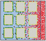 F1morph.large