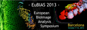 EuBIAS2013