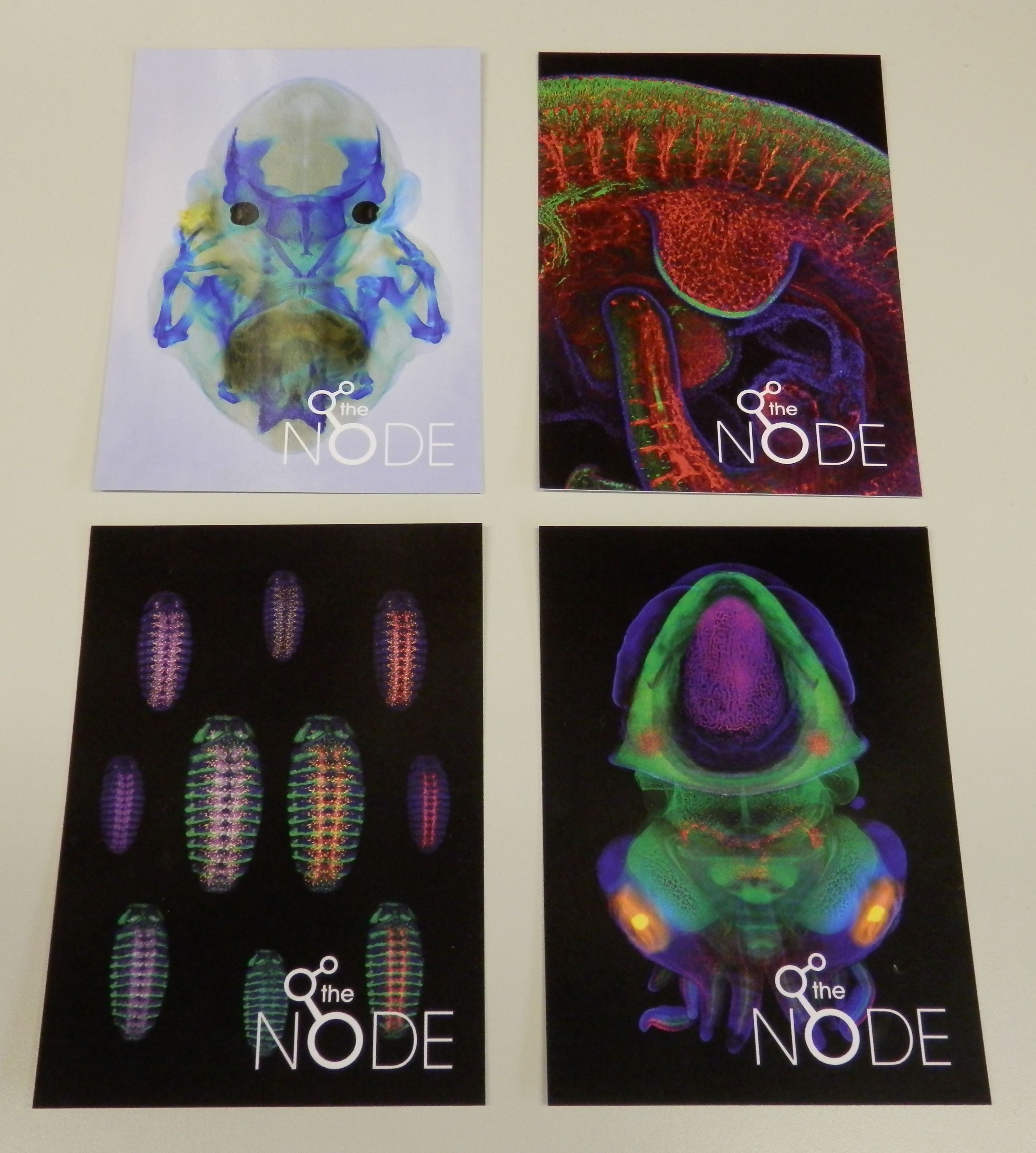 Node postcards 3
