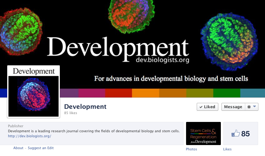 Dev Facebook banner