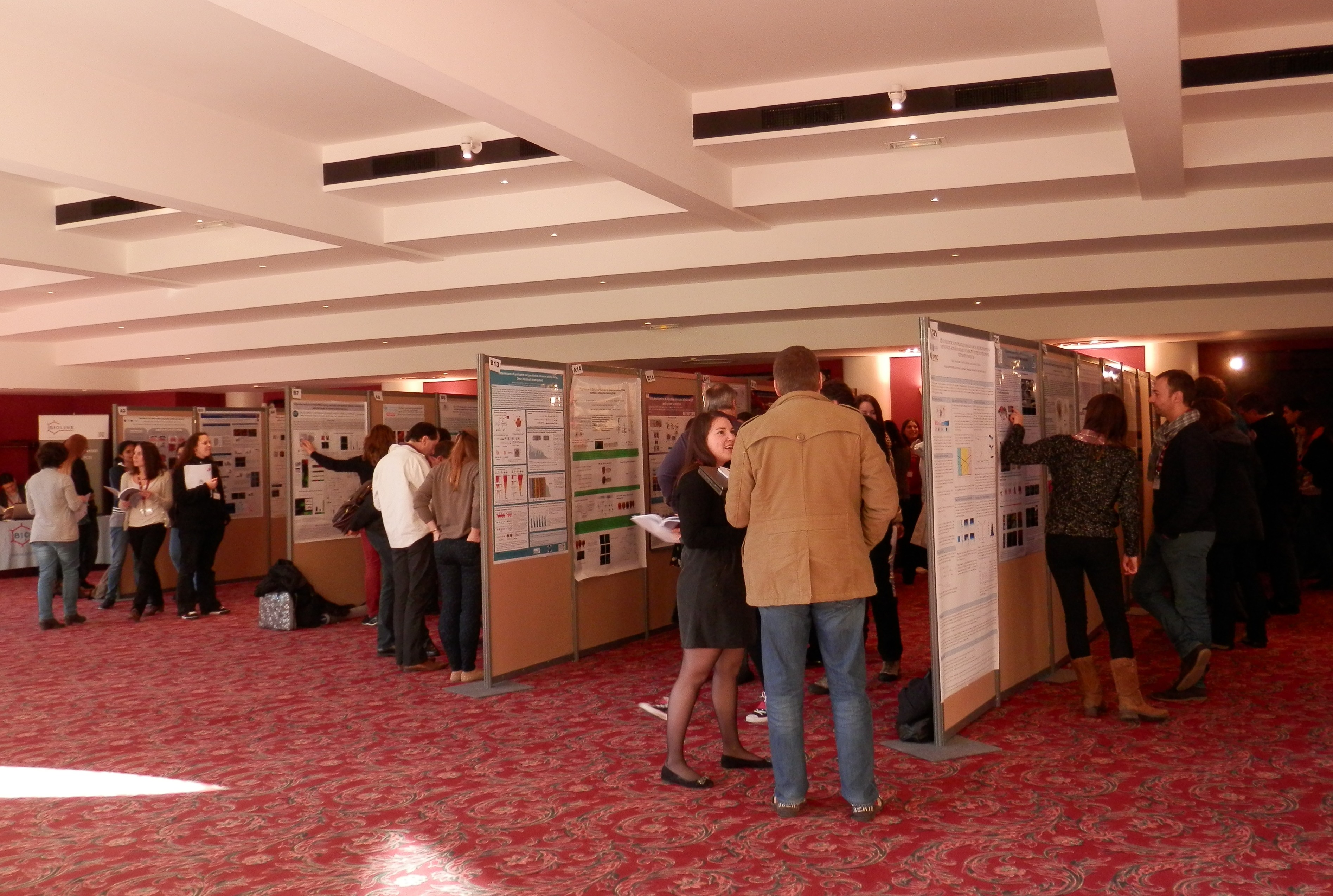 poster session at the SFBD