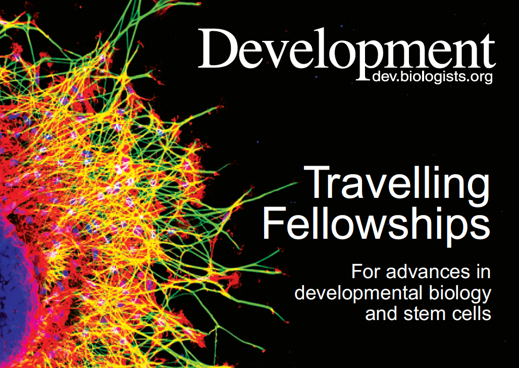 Travelling Fellowships image