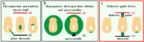 Figure1