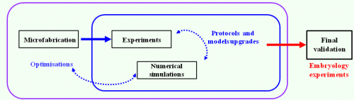 Figure3