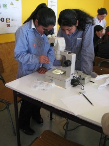 students & zebrafish