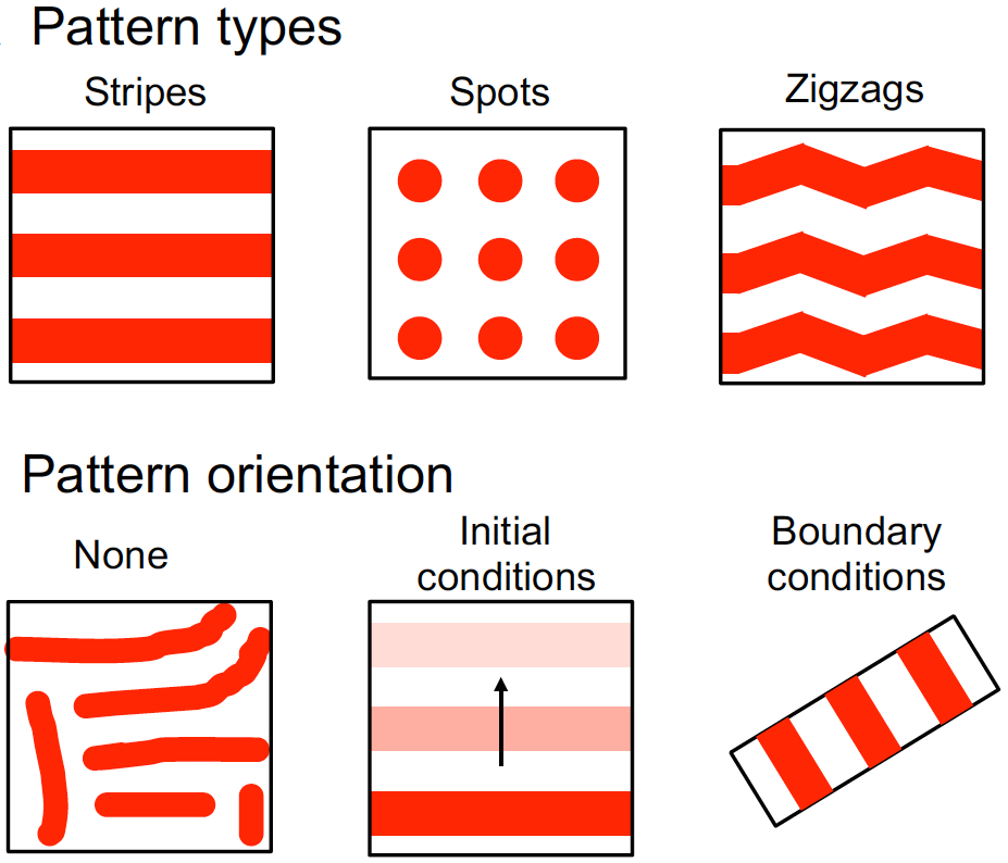 Striped перевод