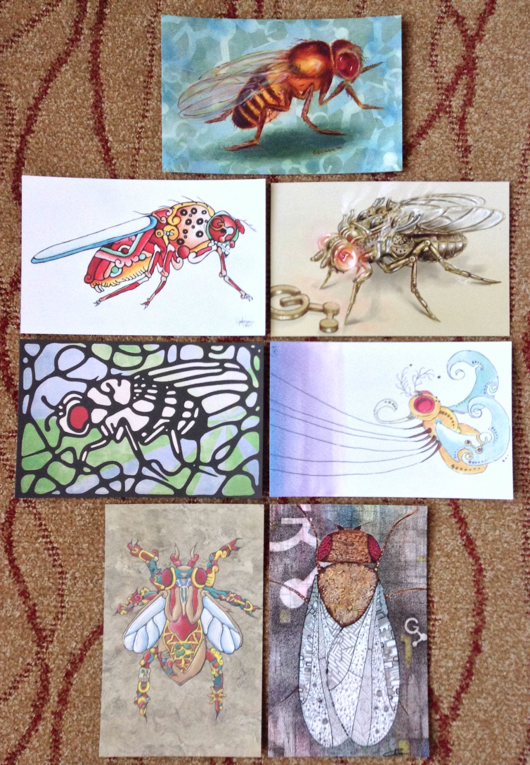 drosophila postcards