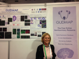 Prof. Melissa Little (University fo Melbourne) at the GUDMAP Exhibitor Stand