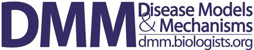 dmmlogo