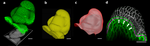 Figure1