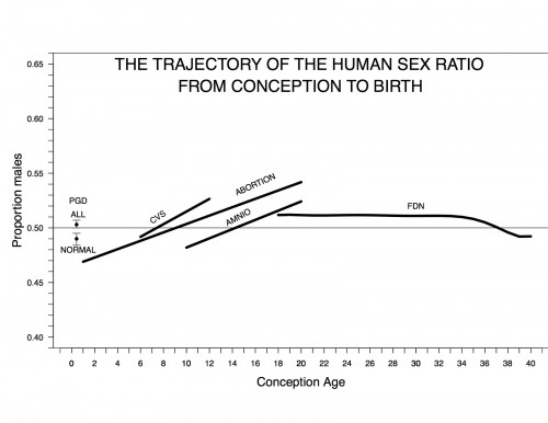 The Human Sex Ratio At Conception And The Conception Of Scientific “facts” The Node 7181