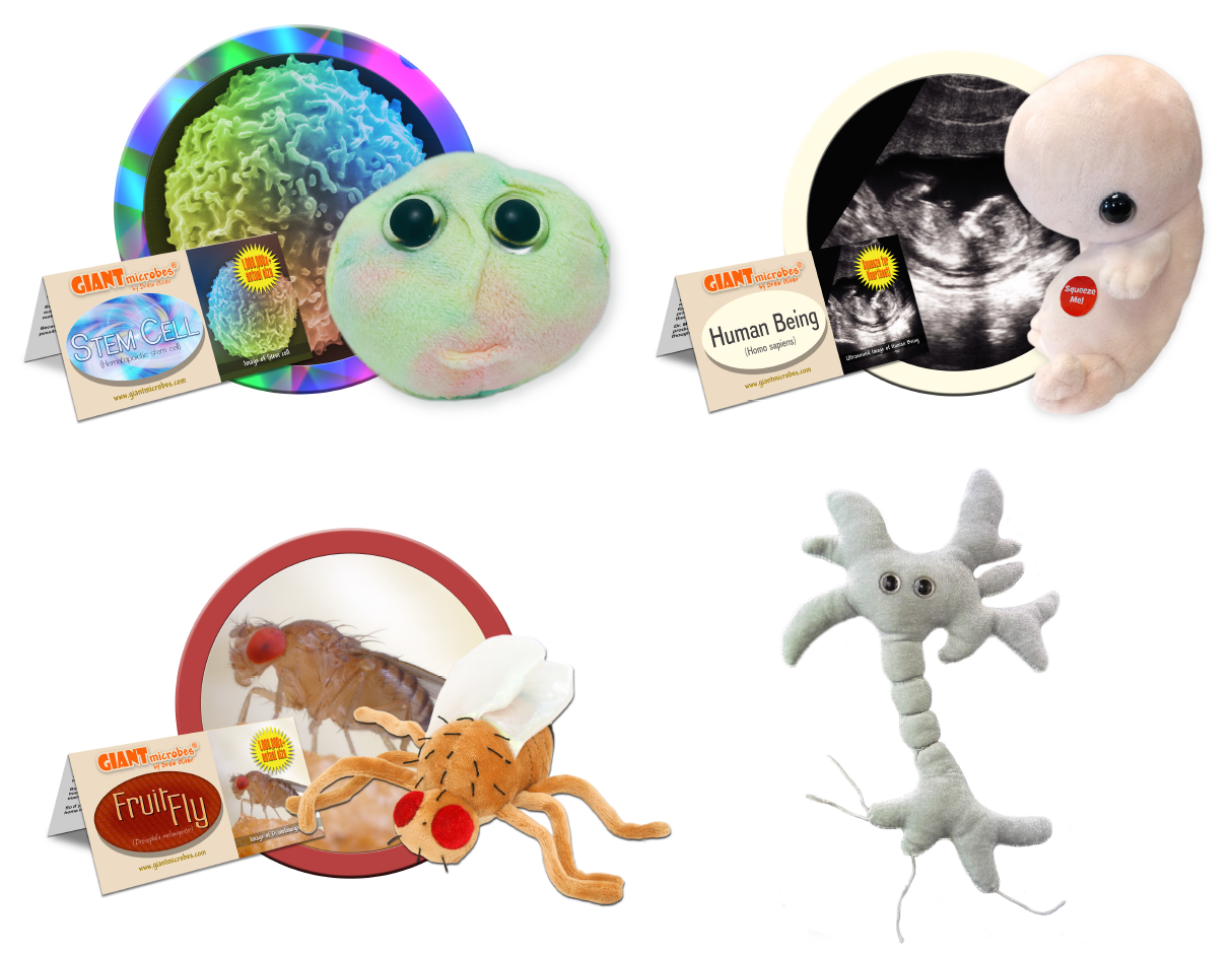 Giant microbes