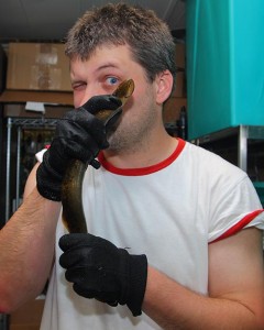 David Jandzik with an adult lamprey