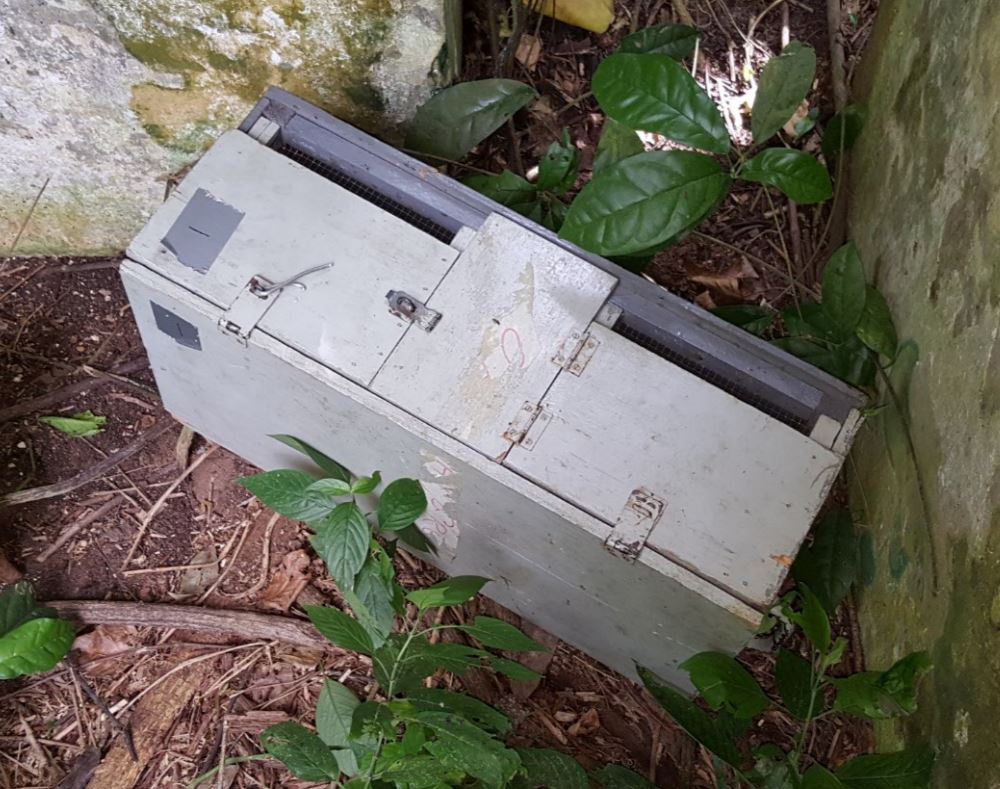 Figure 5: Field box used to store live bats for safe transport to the lab.