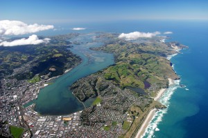 Dunedin, Otago Peninsula & Harbour, & Pacific Ocean - aerial