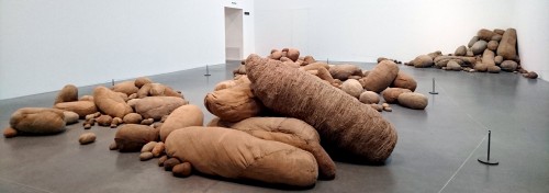 detail of “Embryology” by Magdalena Abakanowicz is an abstract large installation where shapes that can resemble eggs or early embryos that have achieved different sizes. One could imagine that their differential growth is due to differences in their metabolism. Foto: Carlos Carmona-Fontaine