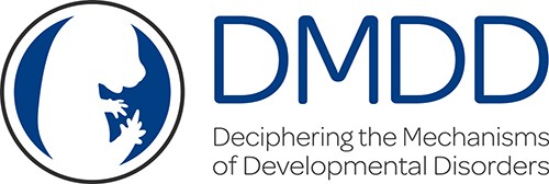 DMDD logo