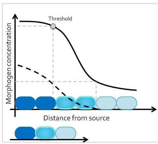 fig1