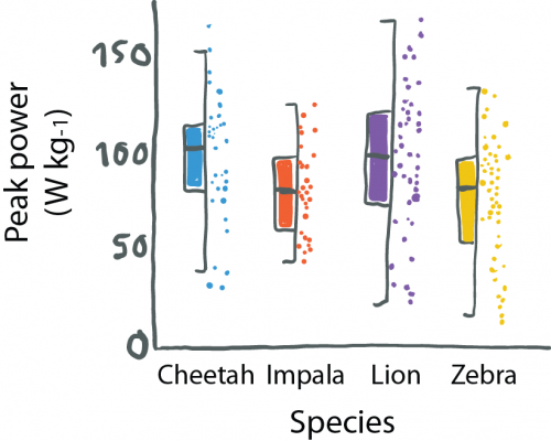 Half Boxplot, half data plot. Re-drawn part of a figure from Wilson et al 2018