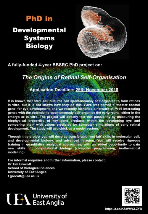 phd in development biology