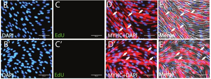 October In Preprints The Node Images, Photos, Reviews