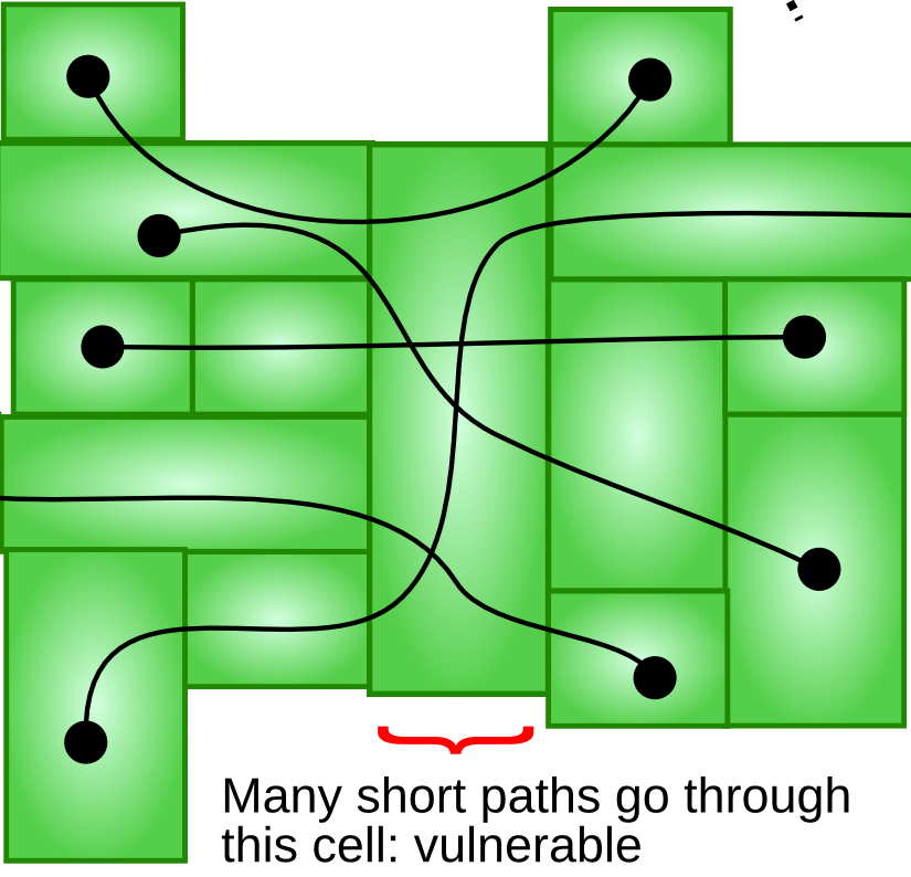 Plant stem cells strive towards equality - the Node