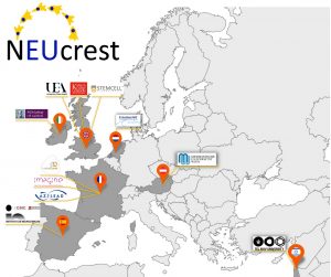 NEUcrest Partners