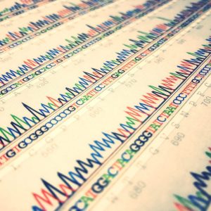 DNA sequence