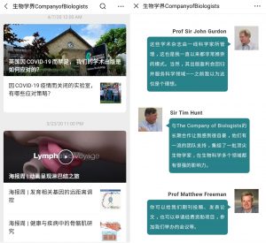 Screenshot showing articles on WeChat