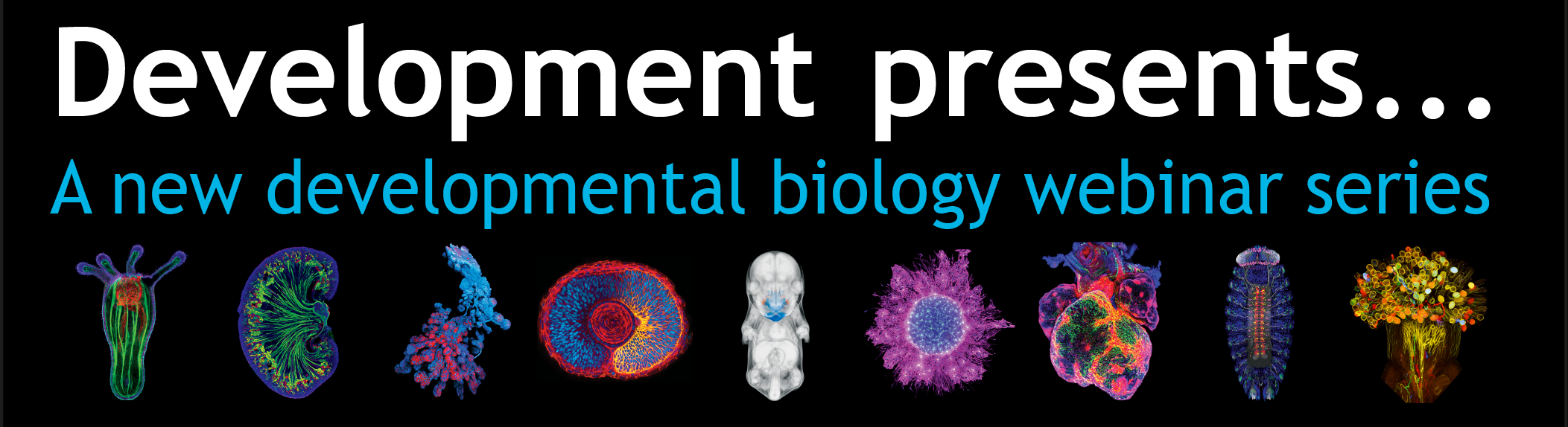 A banner saying Development presents a new developmental biology webinar series