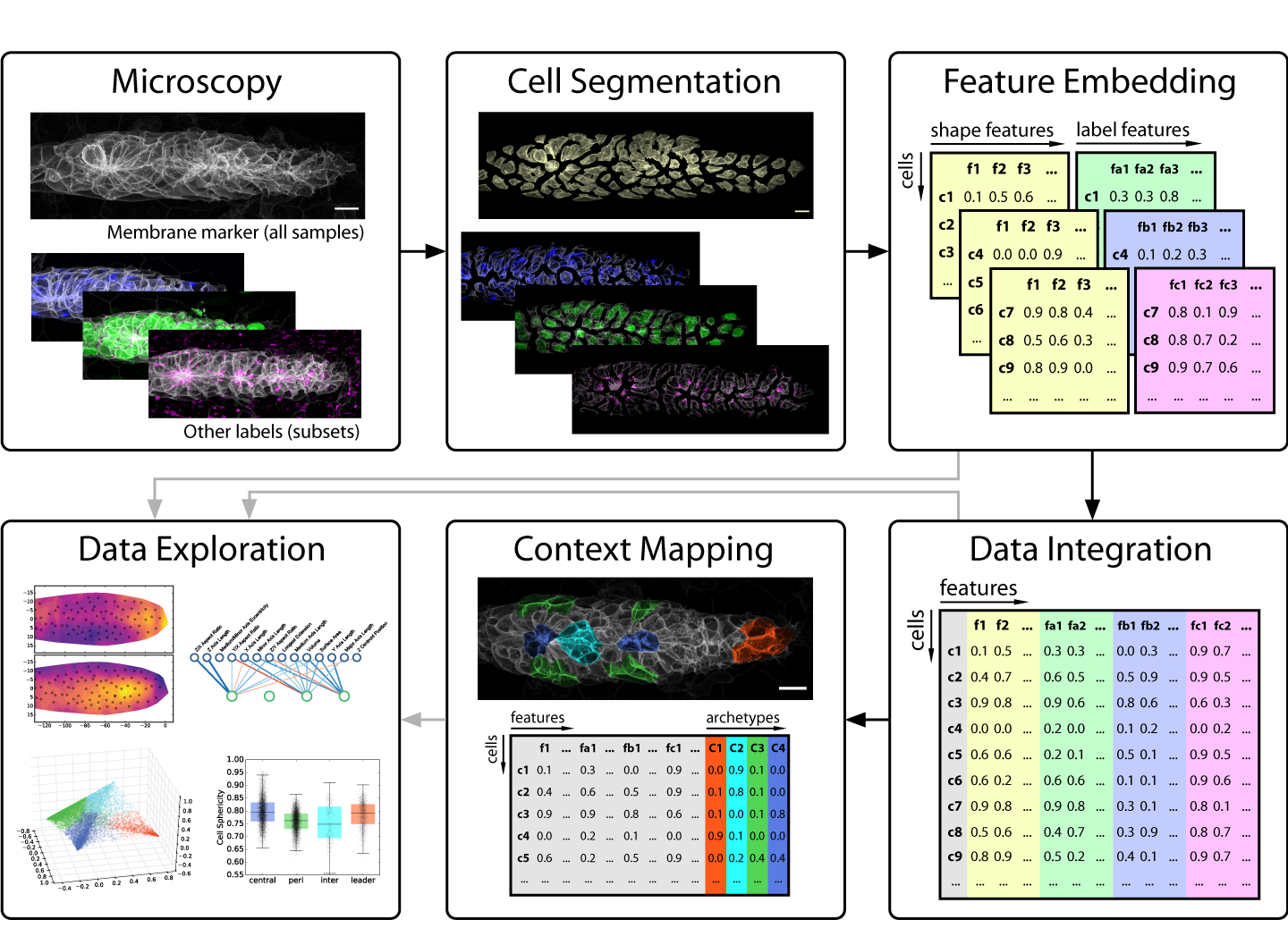 Analysis pipeline from Hartmann et al., 2020