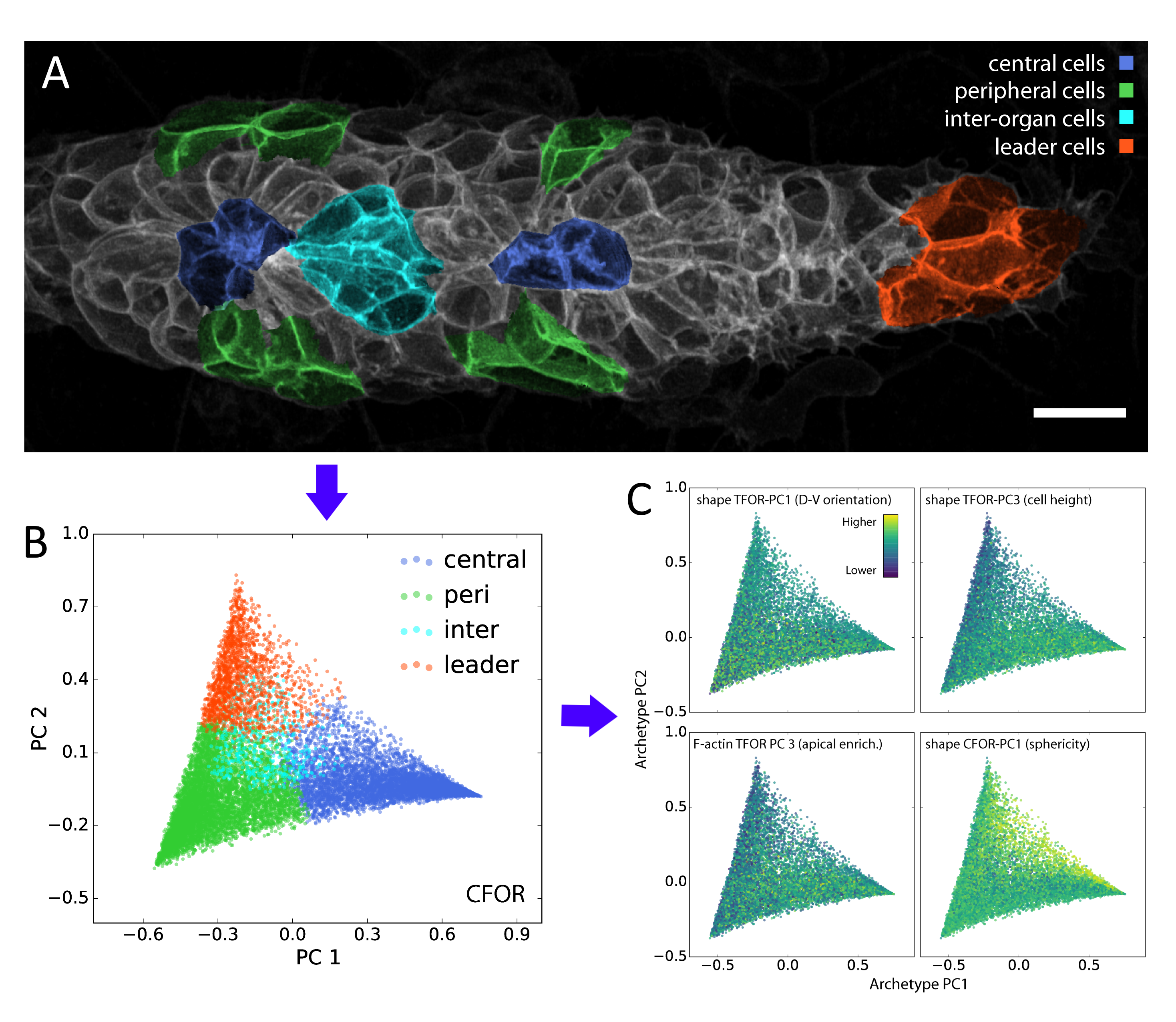 Example of Context-Guided Visualization