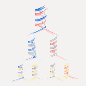 Illustration of DNA replication