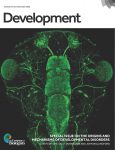 Development's Special Issue on The Origins and Mechanisms of Developmental Disorders