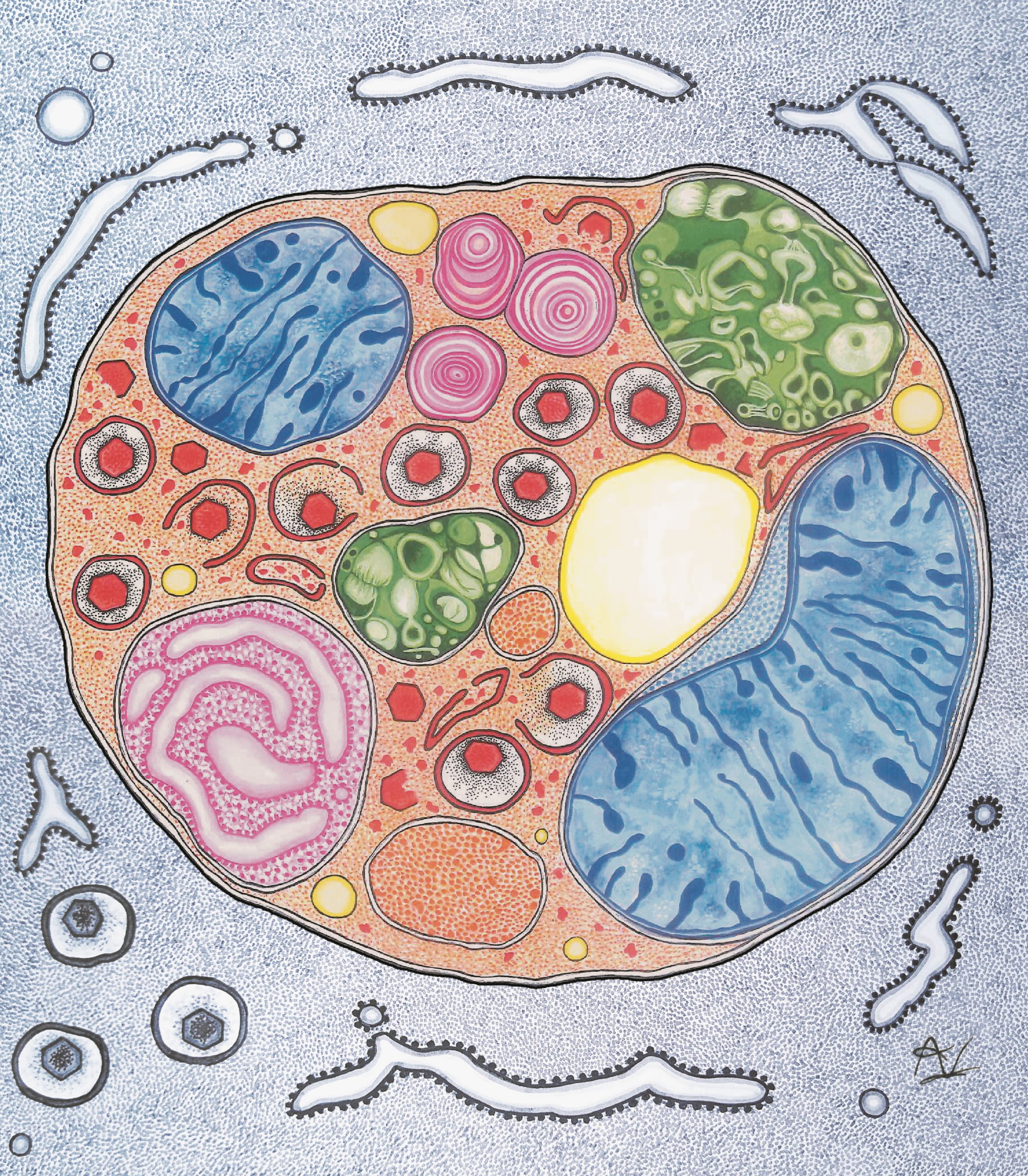 biology cell art