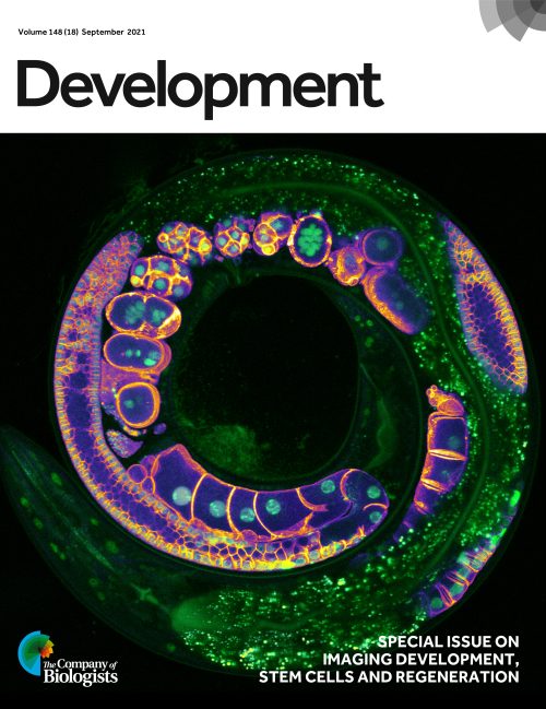 Imaging Special Issue
