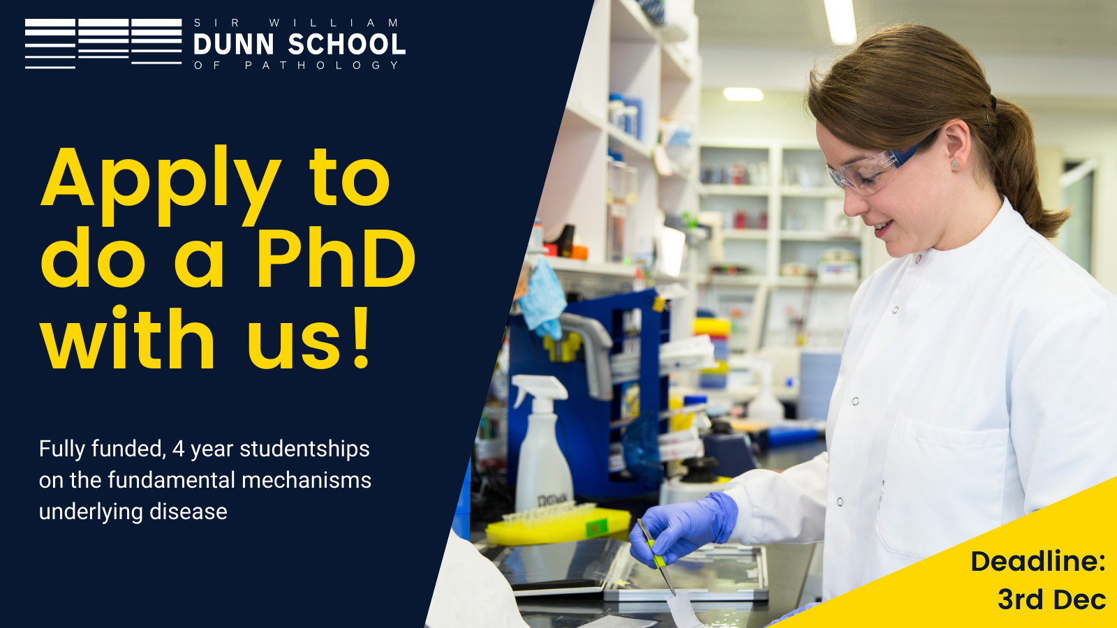 funded phd mmu