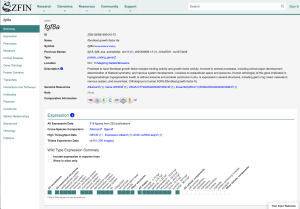 Zffaquire Examples Featured Resource: the Zebrafish Information Network (ZFIN) - the Node