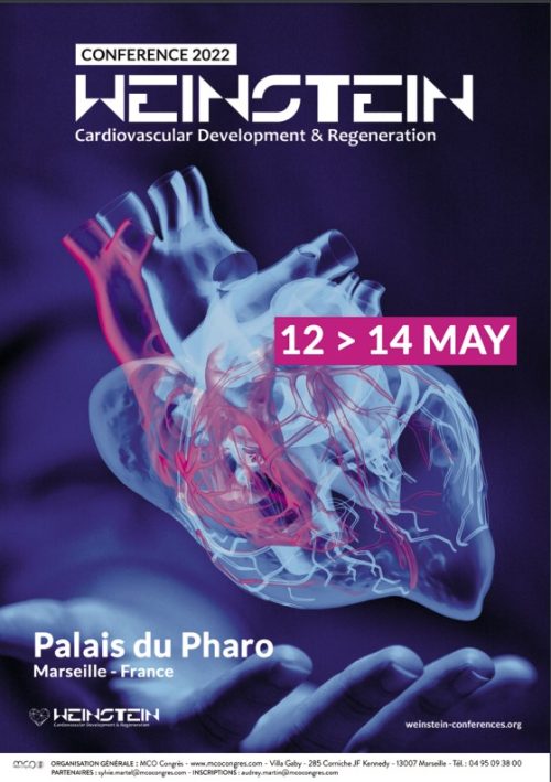 Weinstein Cardiovascular Development and Regeneration Conference the Node