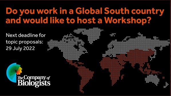 Banner inviting Workshop proposals from applicants in the Global South