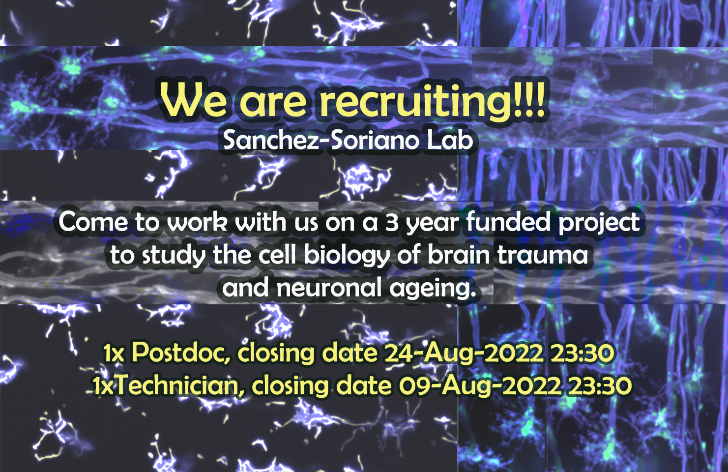 Postdoc Position In The Cell Biology Of Traumatic Brain Injury And ...