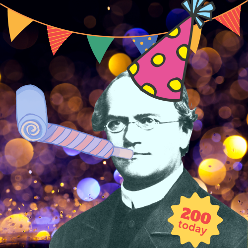 Mendel at a rave with a party hat on