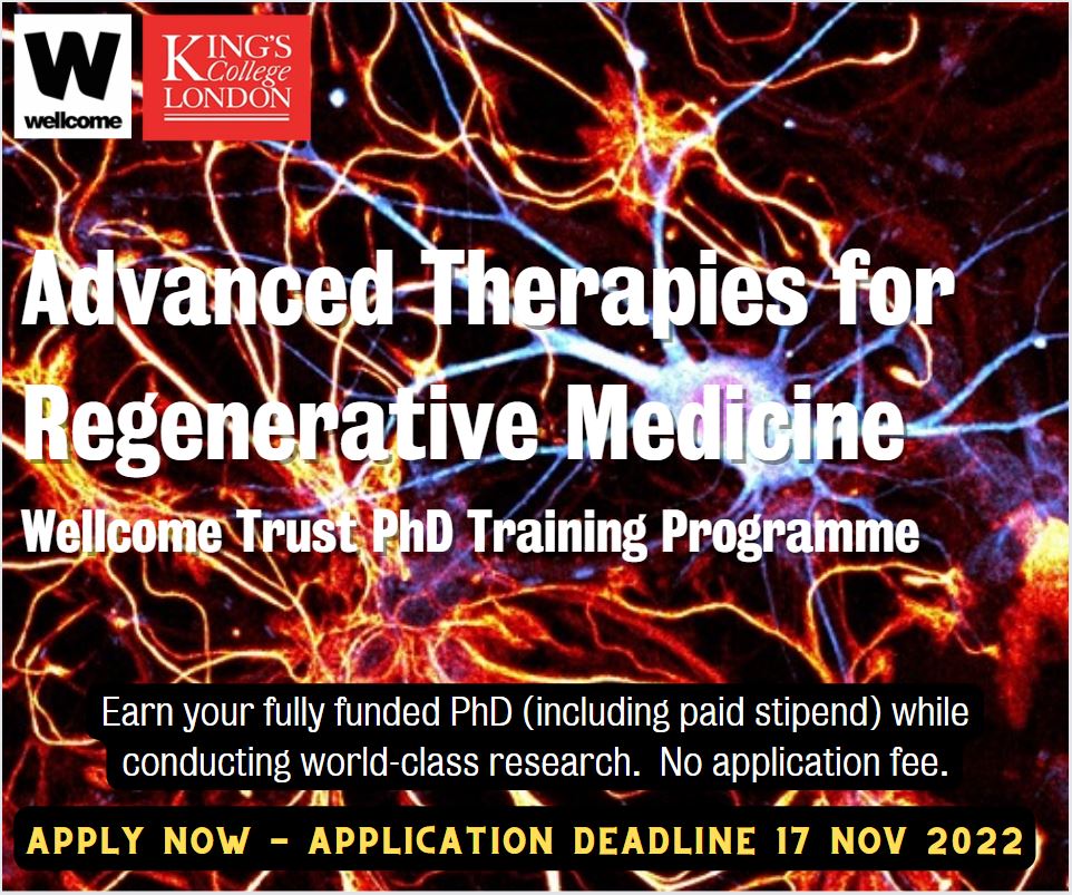 phd training programme