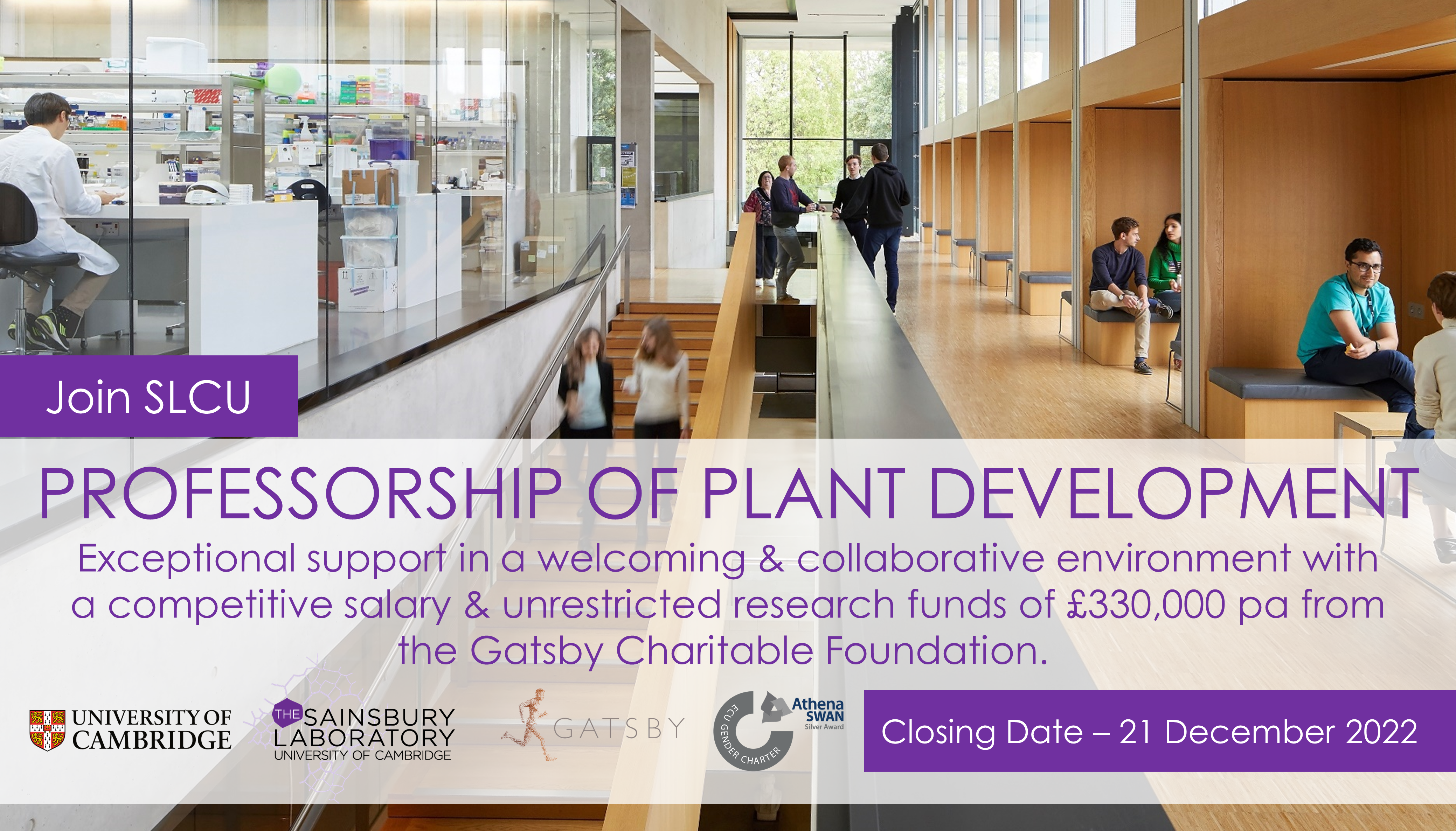 Professorship of Plant Development - the Node