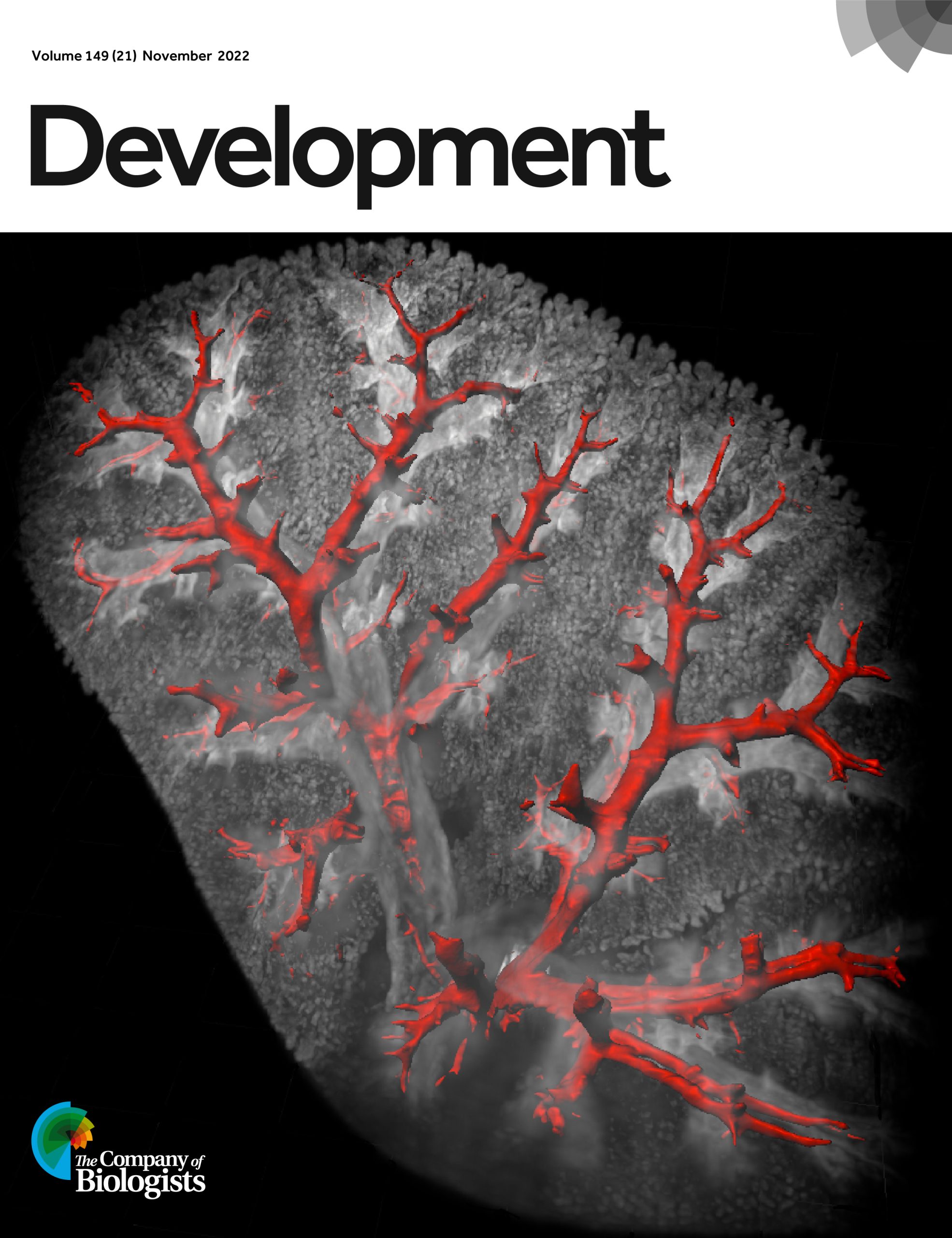 Your favourite Development cover is... - the Node