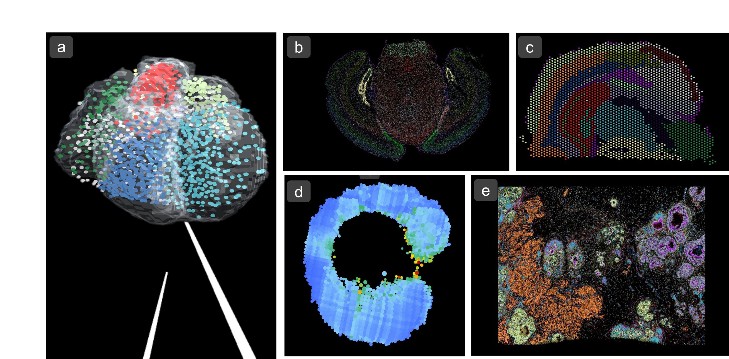 TomoSeq data search